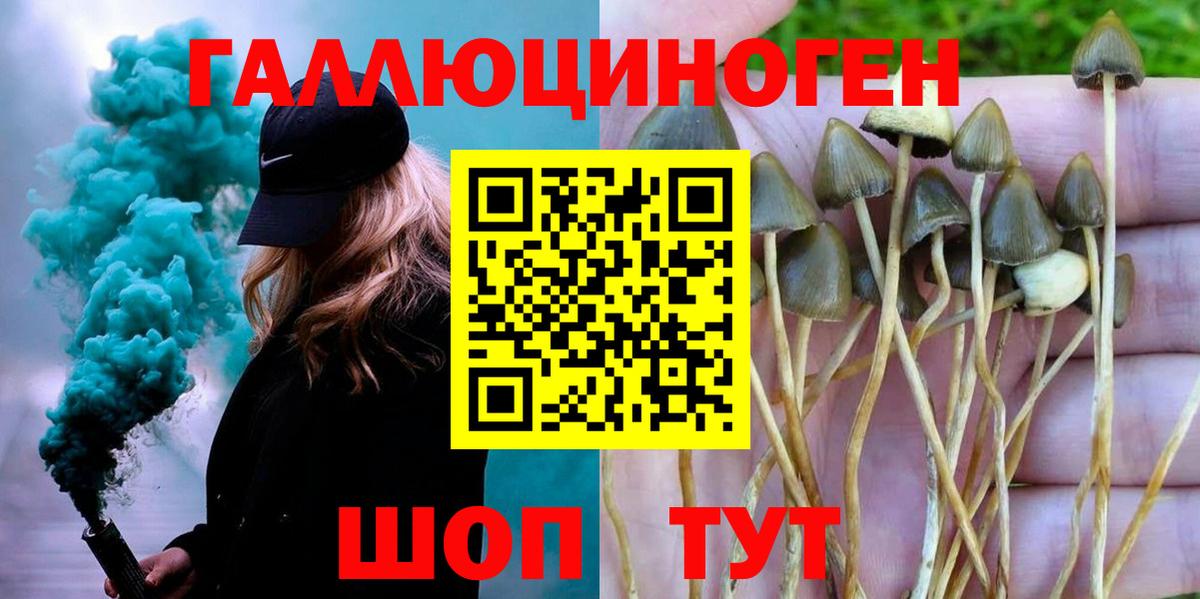 Псилоцибиновые грибы Psilocybine cubensis Чистополь